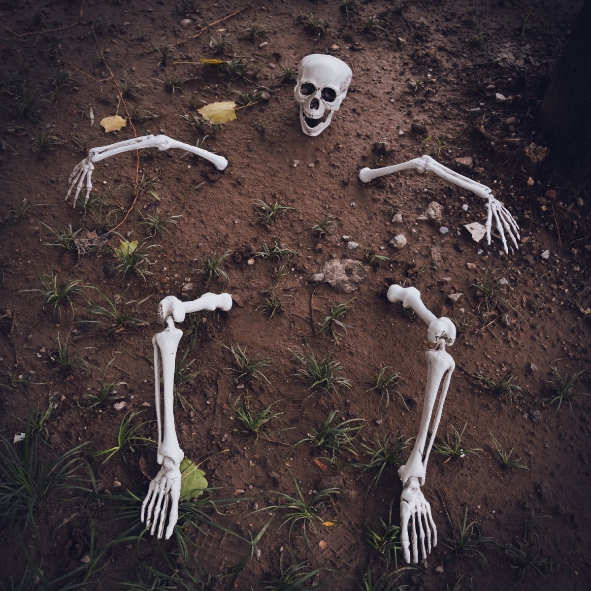 Buried Skeleton-wholesale | PopFun