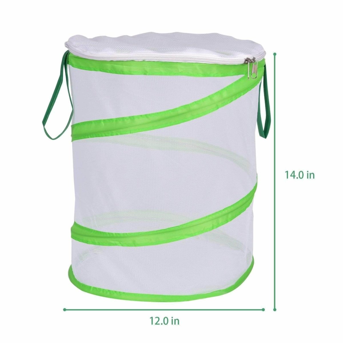 Butterfly Habitat | PopFun