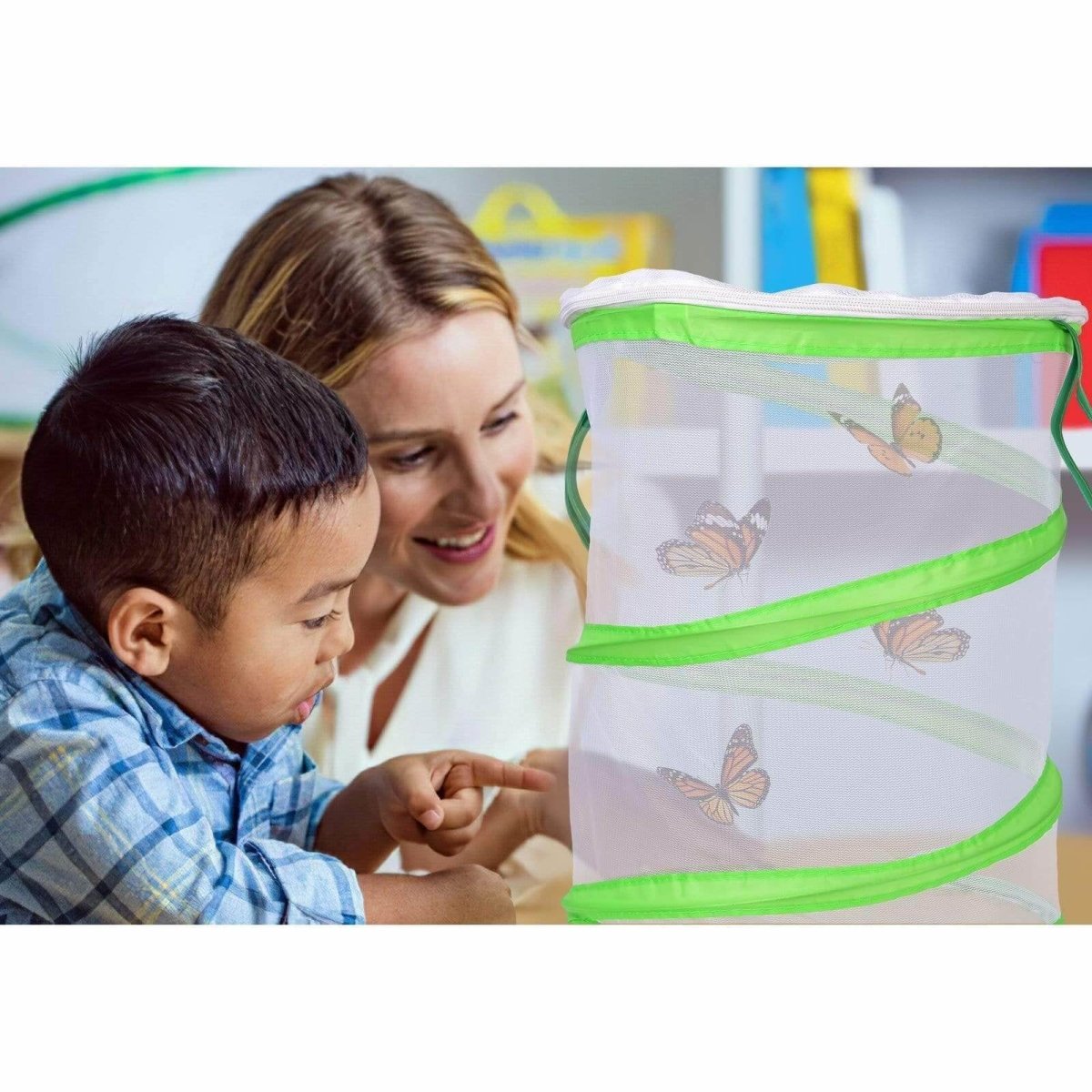 Butterfly Habitat | PopFun