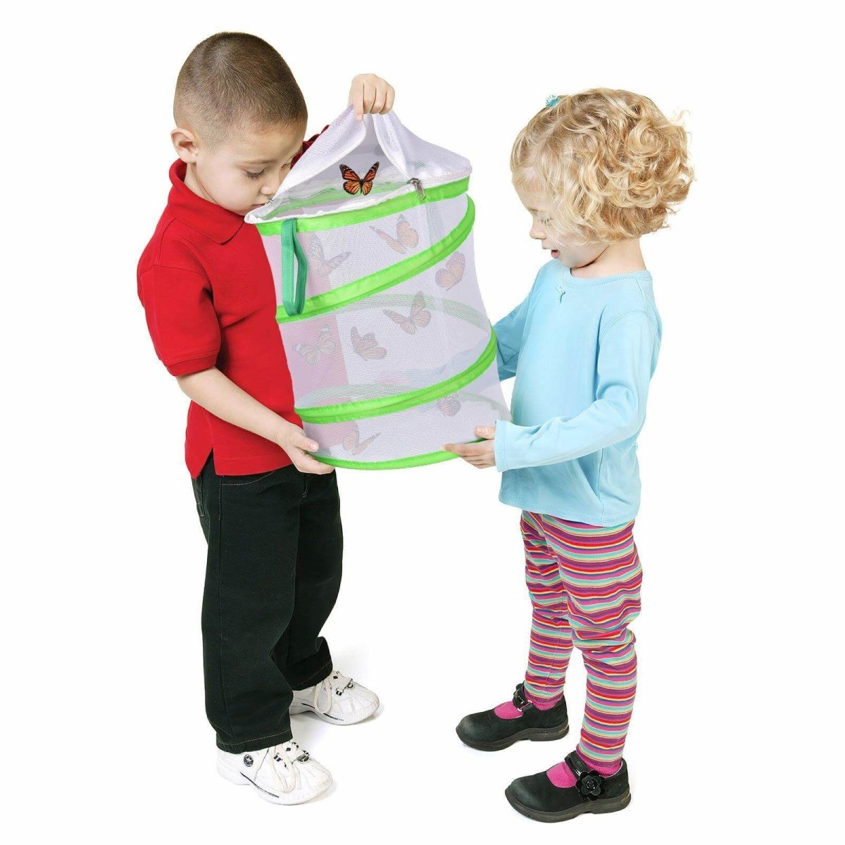 Butterfly Habitat | PopFun