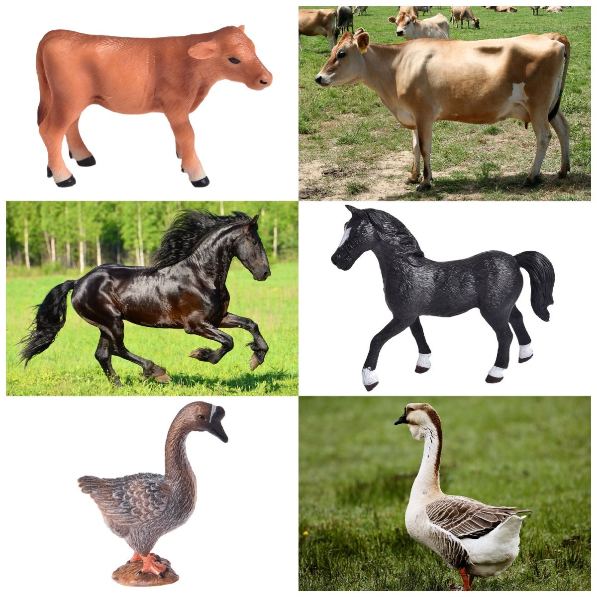 Christmas Advent Calendar for Kids - Farm Set - PopFun