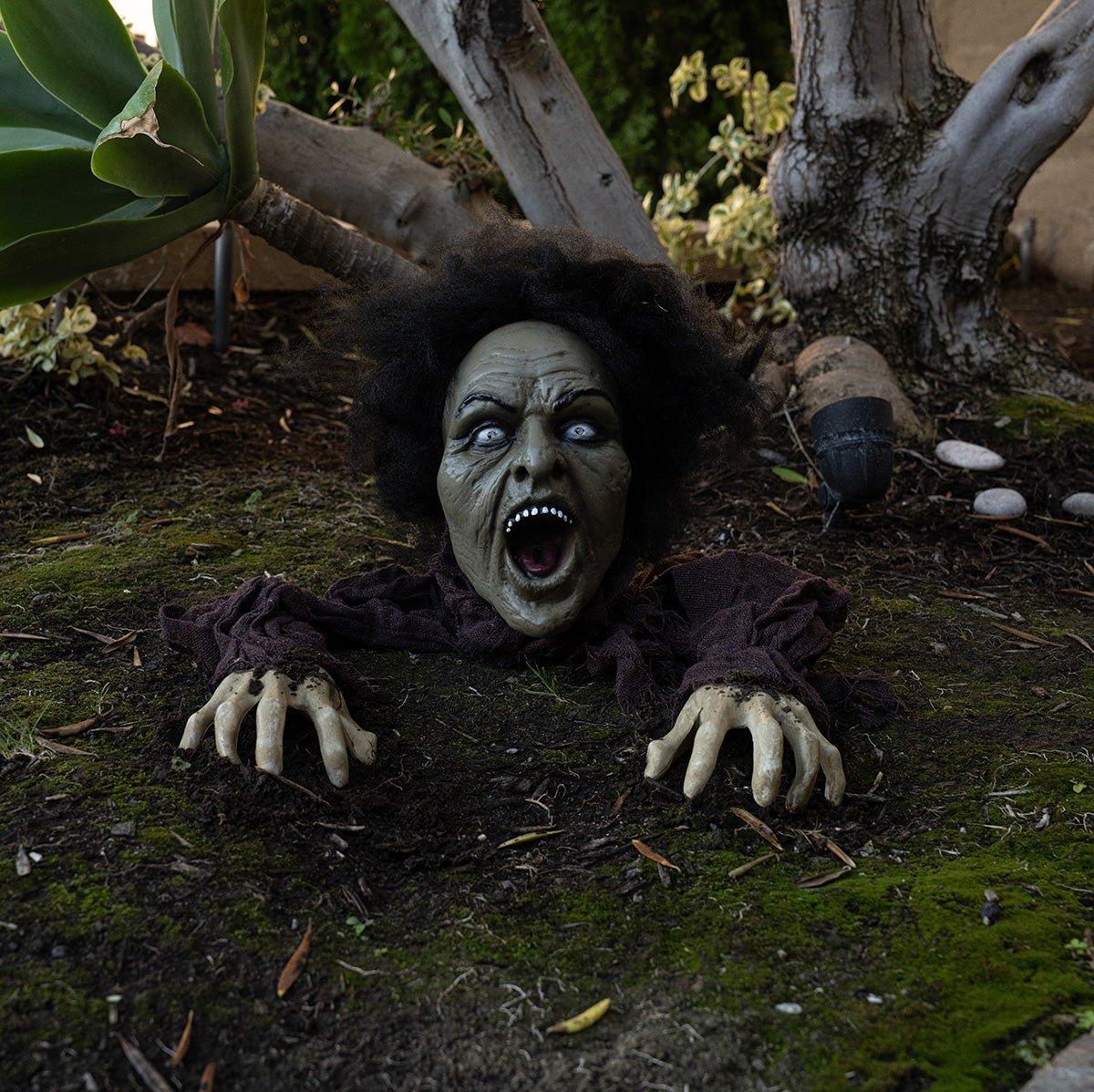 Crawling Groundbreaker Zombie - PopFun