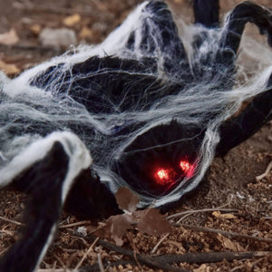 Crawling Spider