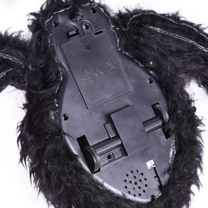 Crawling Spider - PopFun