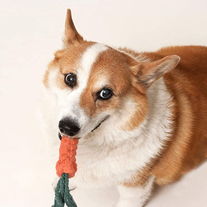 Cute Chew Toy Set for Pets (7pcs) - PopFun