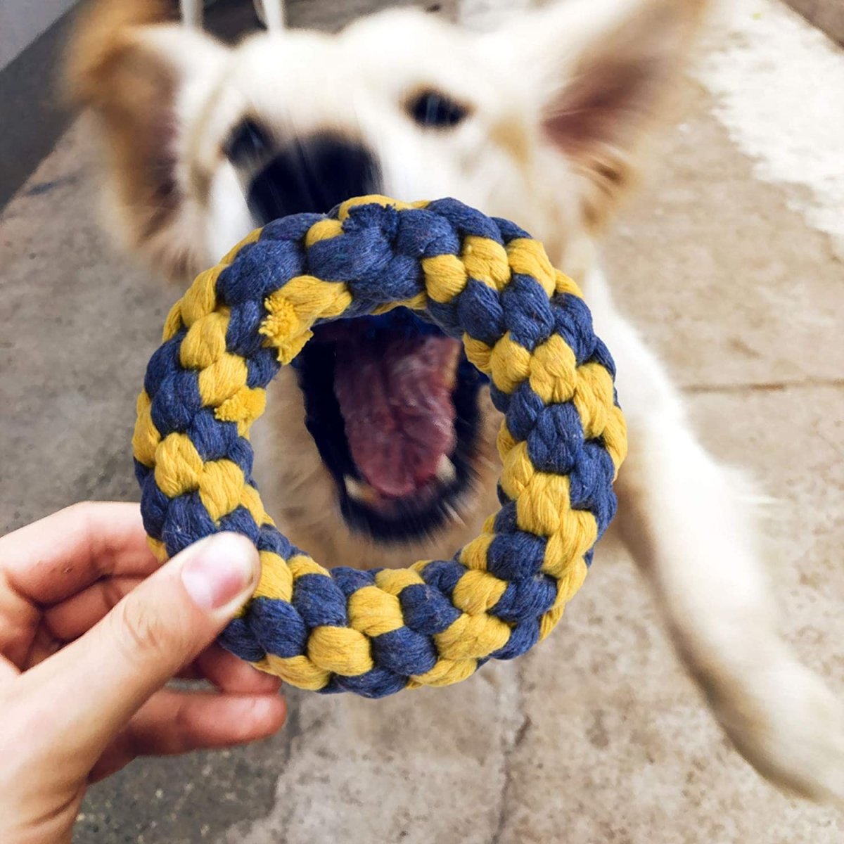 Cute Chew Toy Set for Pets (7pcs) - PopFun