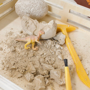 Easter Dinosaur Egg Dig Kit 12pcs