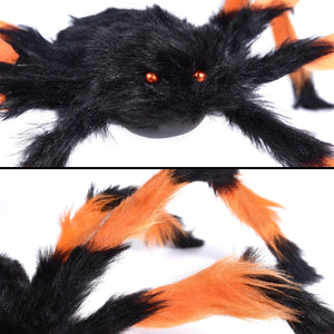 Giant Orange and Black Widow Haven - PopFun