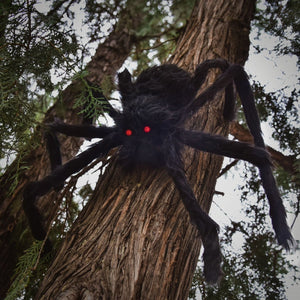 Giant Spider Trio - PopFun