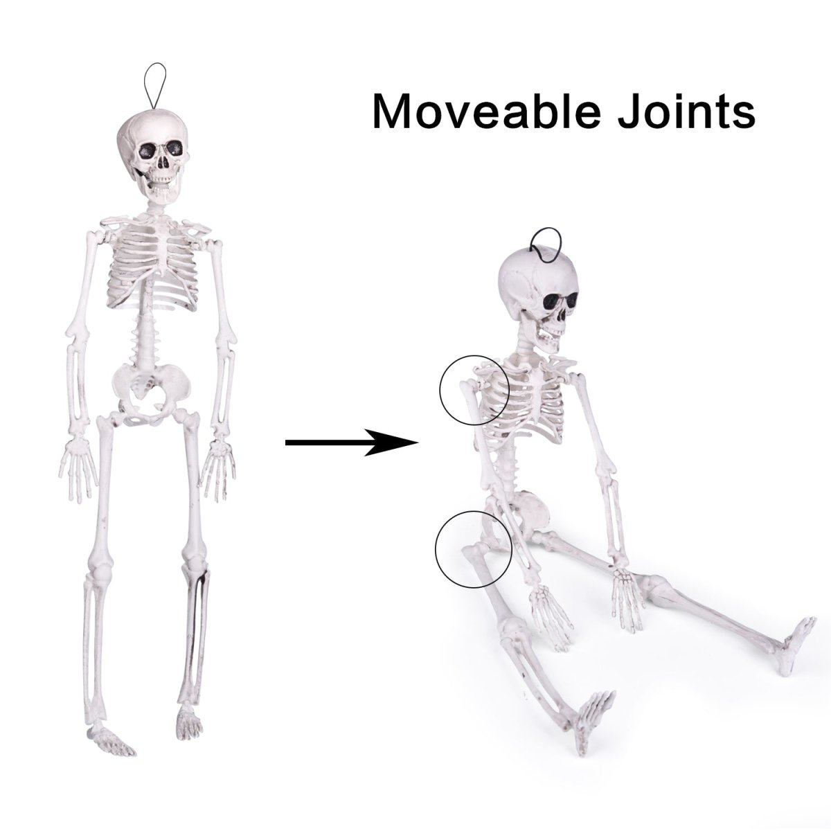 Hanging Skeleton Decorations - PopFun