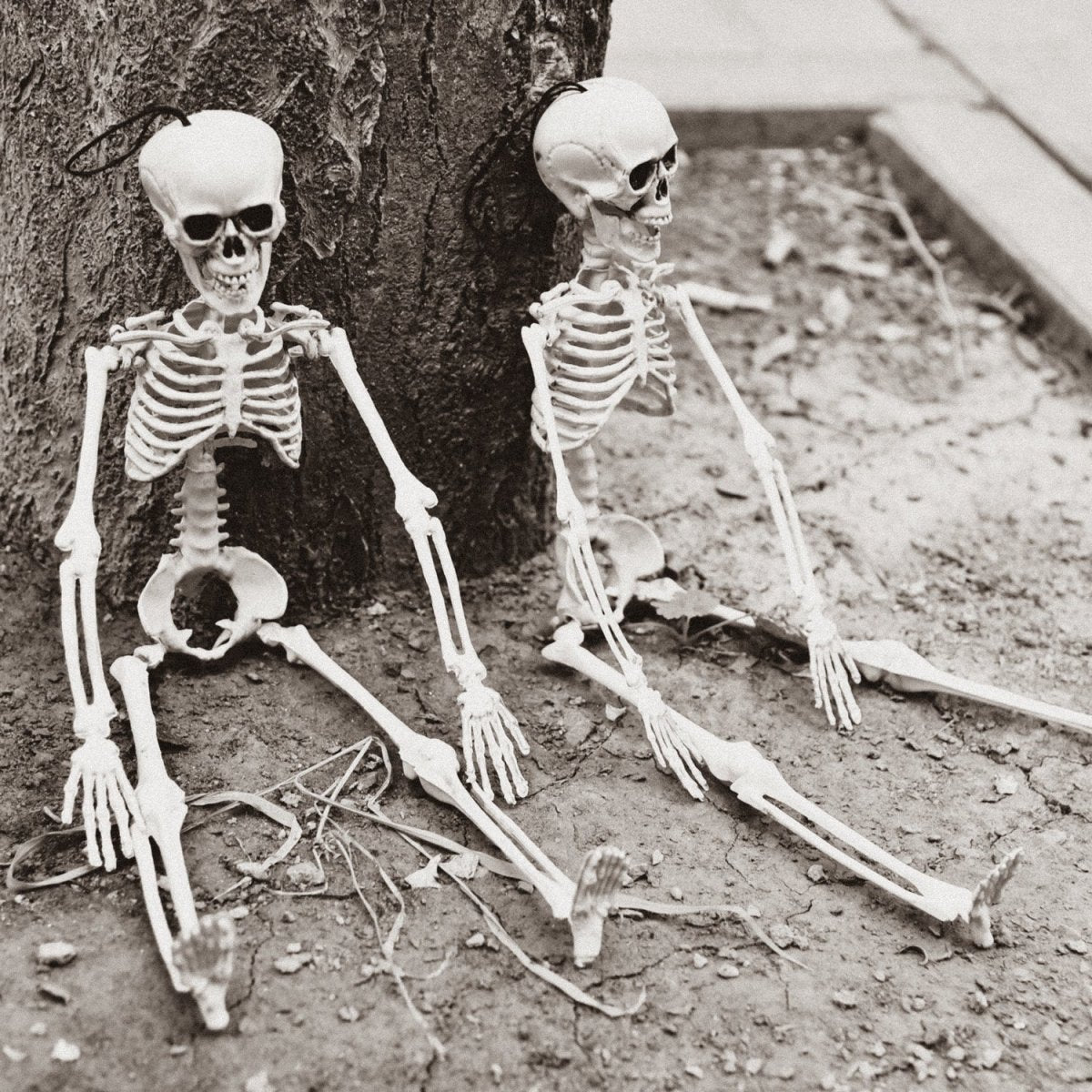 Hanging Skeleton Decorations-Wholesale - PopFun