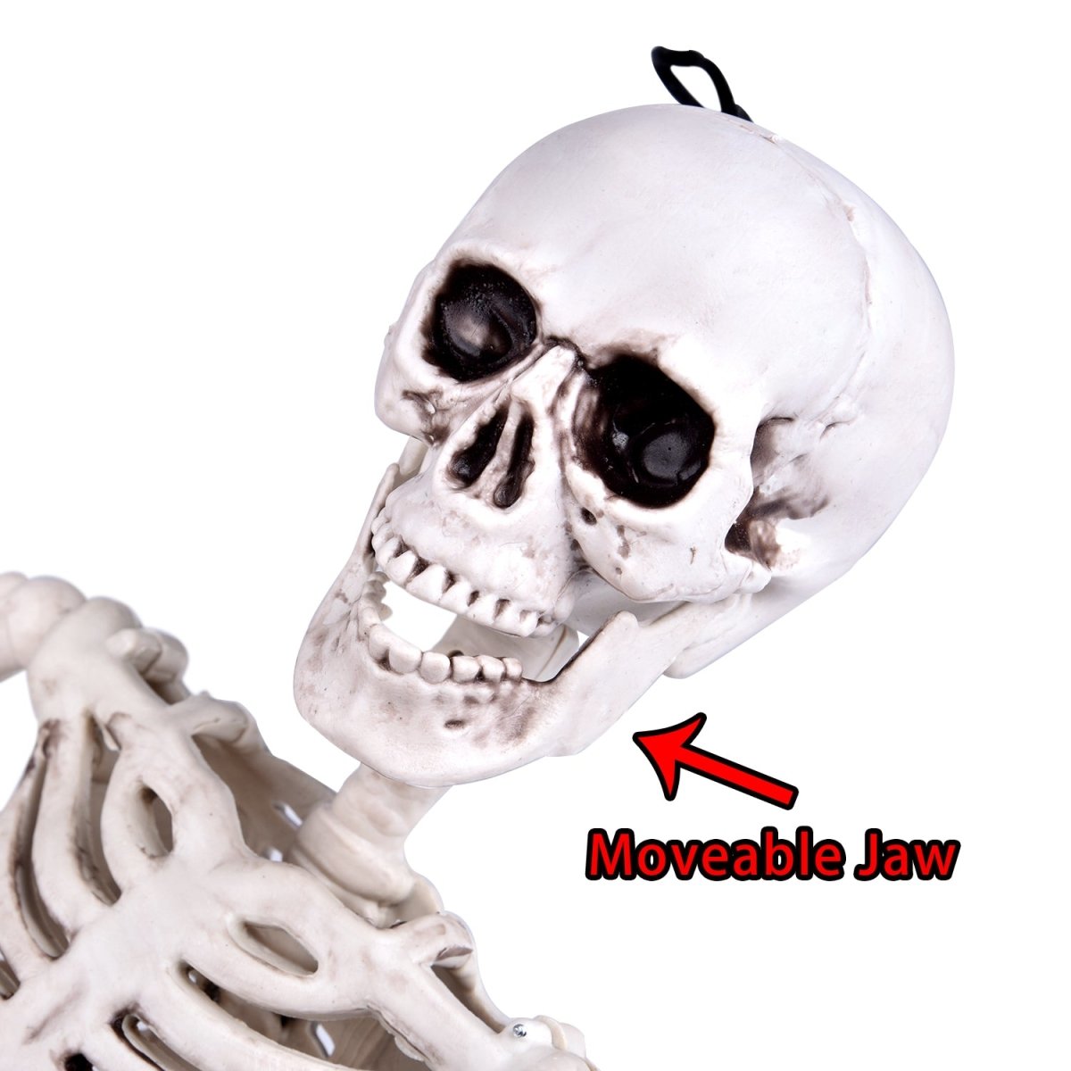 Posable Hanging Skeleton - PopFun