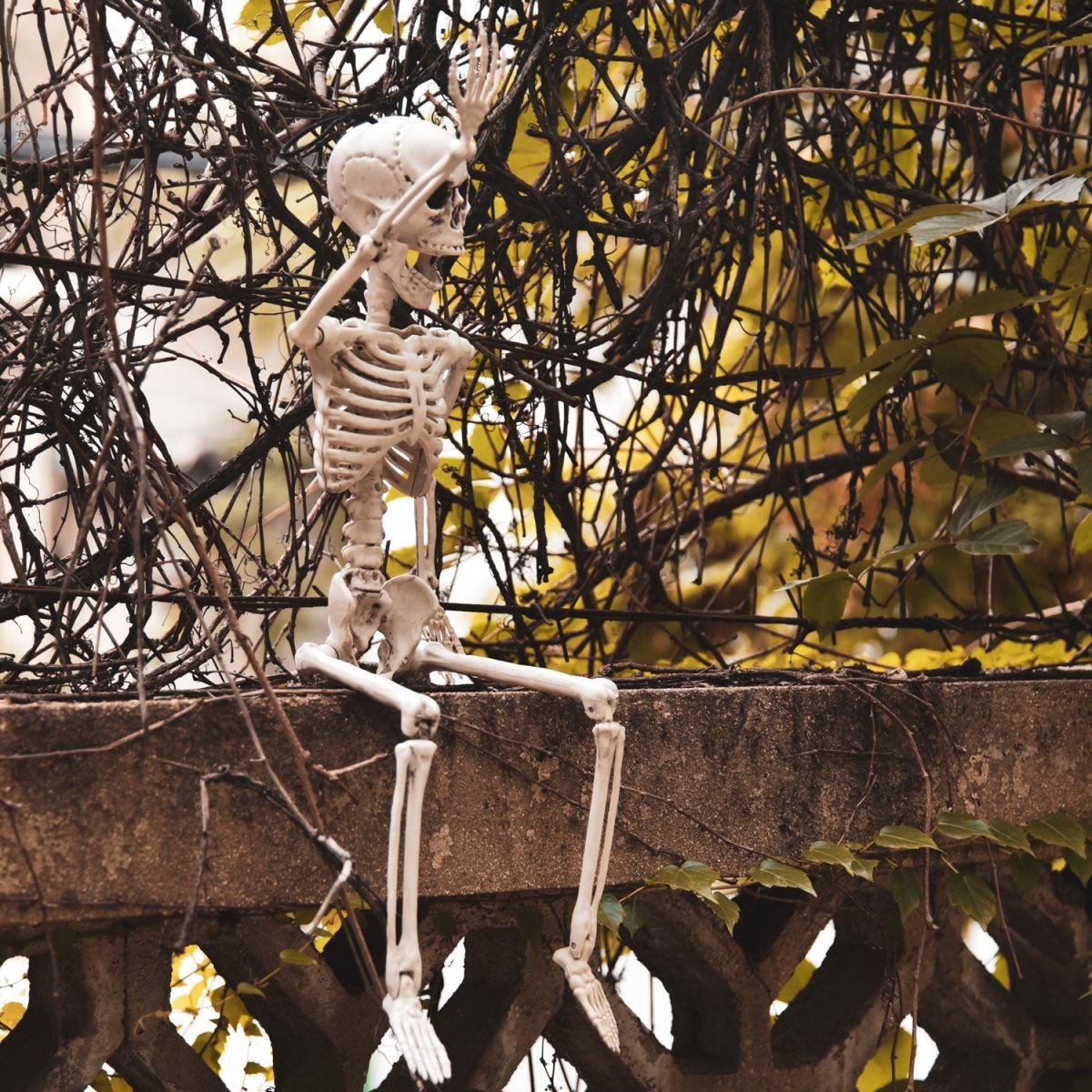 Posable Hanging Skeleton - PopFun