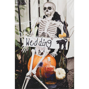 Posable Hanging Skeleton - PopFun