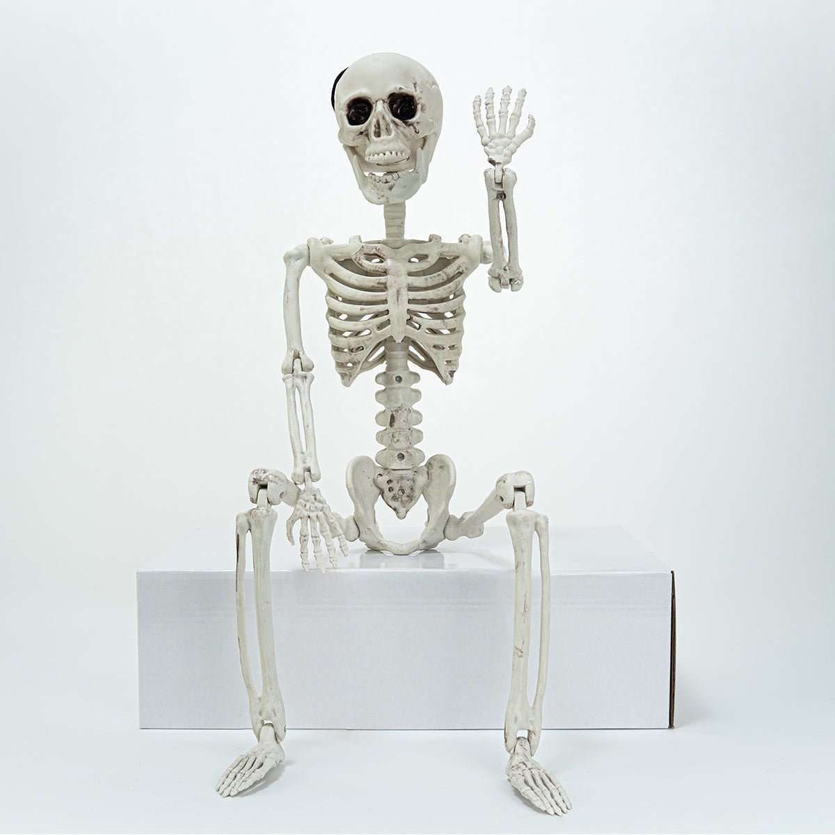 Posable Hanging Skeleton - PopFun