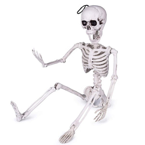 Posable Hanging Skeleton