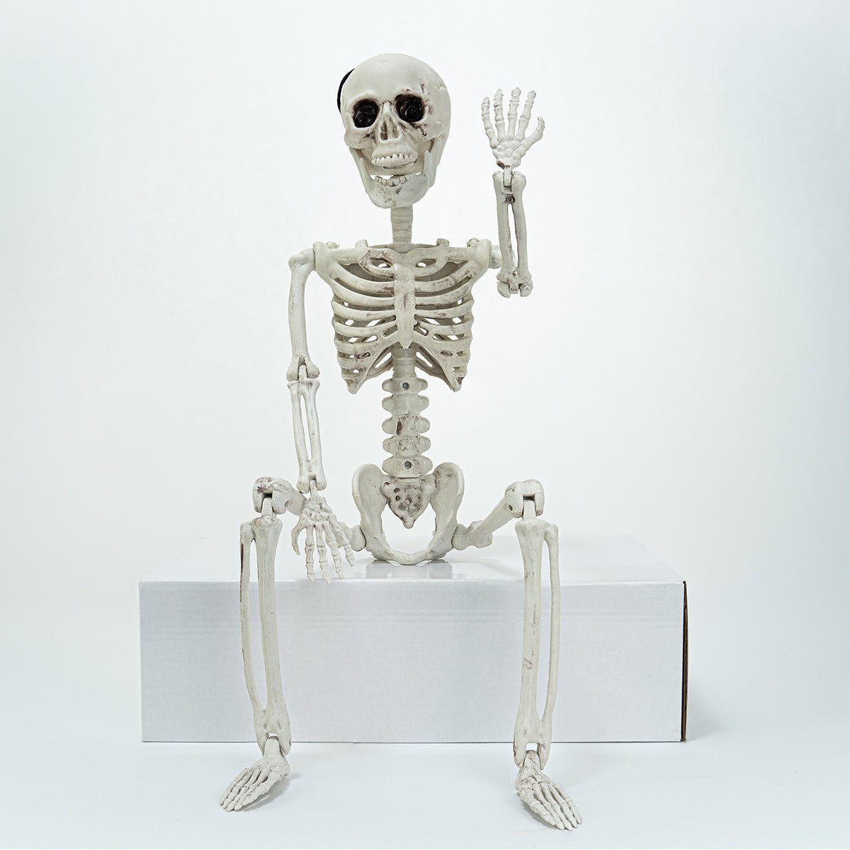 Posable Hanging Skeleton - PopFun