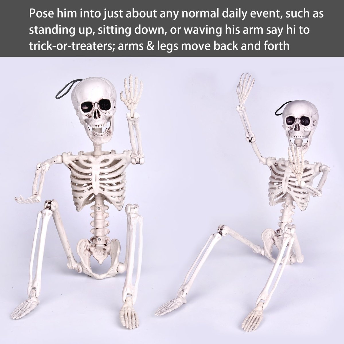 Posable Hanging Skeleton - PopFun
