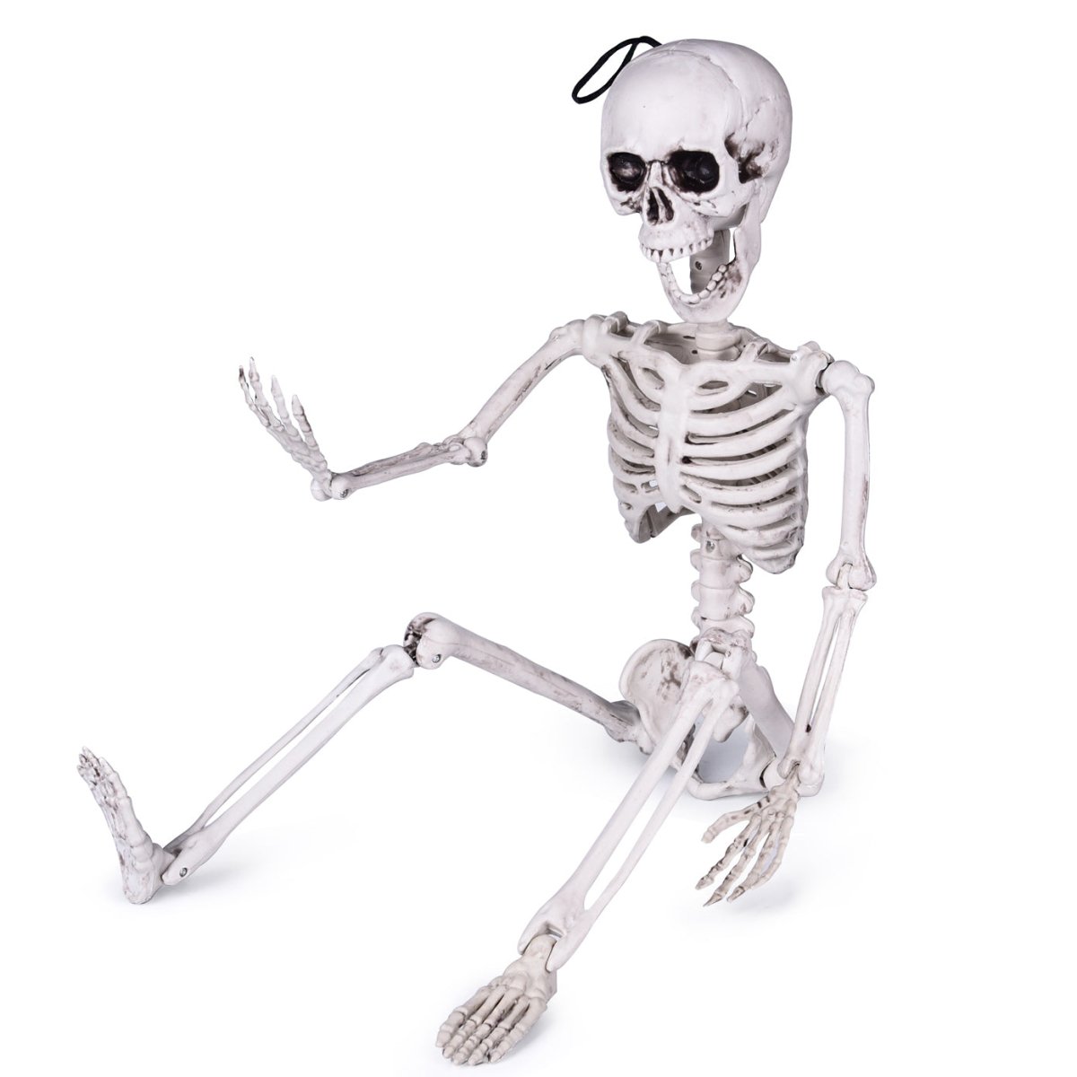 Posable Hanging Skeleton - PopFun