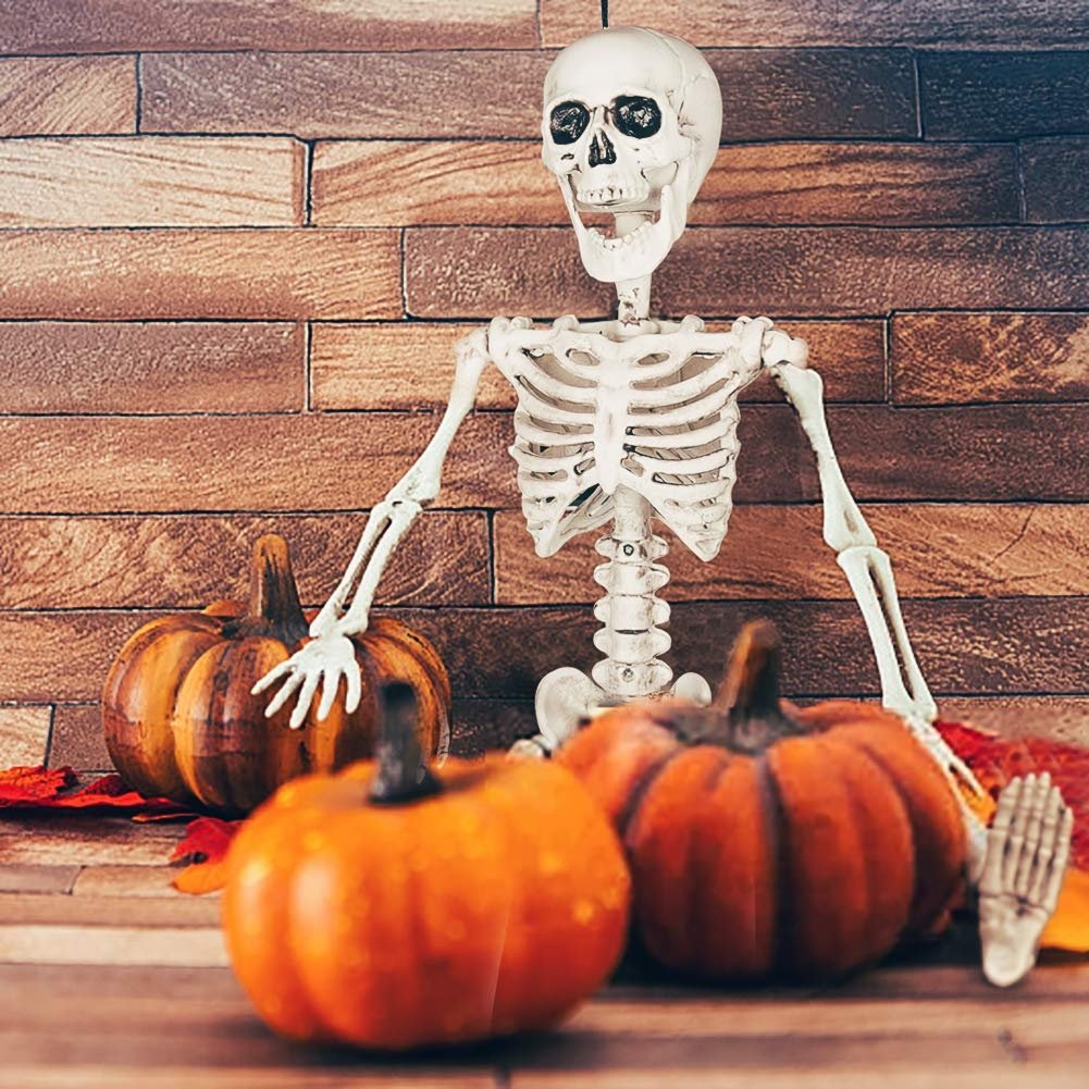 Posable Hanging Skeleton-Wholesale - PopFun