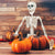 Posable Hanging Skeleton-Wholesale - PopFun