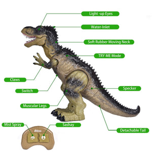 Remote Control Water Spraying Dinosaur Toy - PopFun