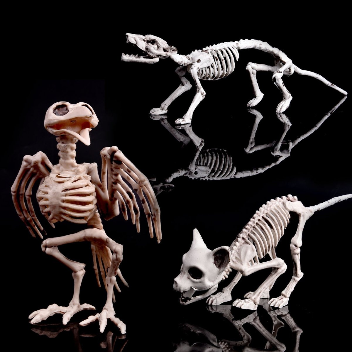 Tiny Skeleton Collection - PopFun