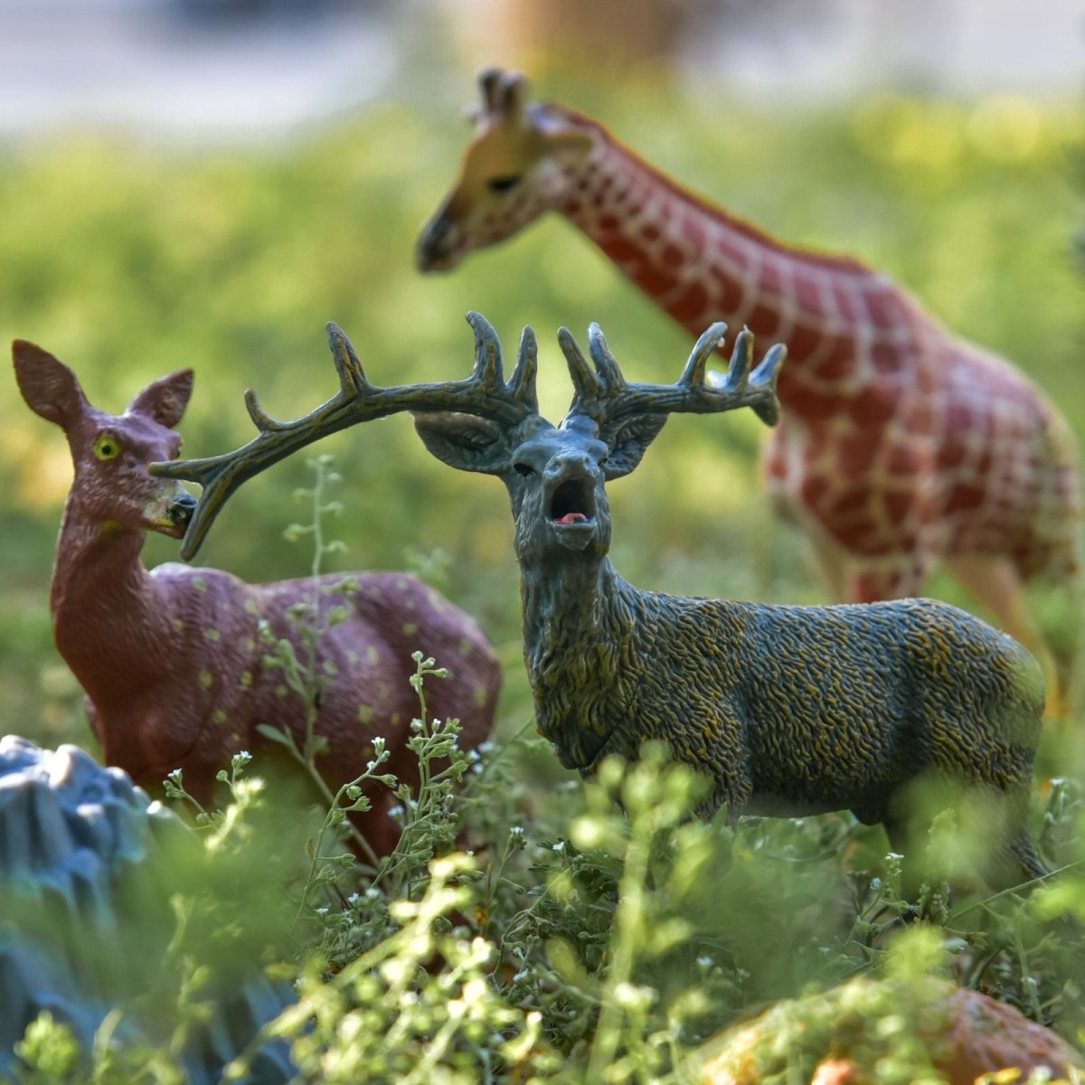 Wild Animal World - PopFun